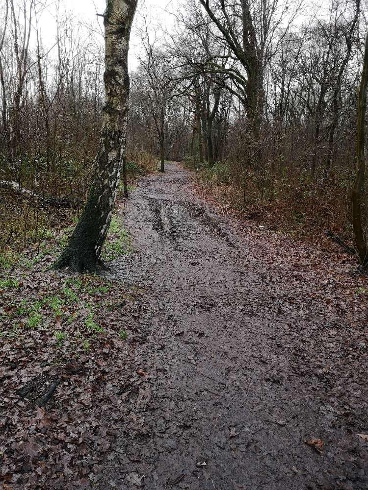 Giftköder-Rasierklingen in Matschpfützen-Profilbild
