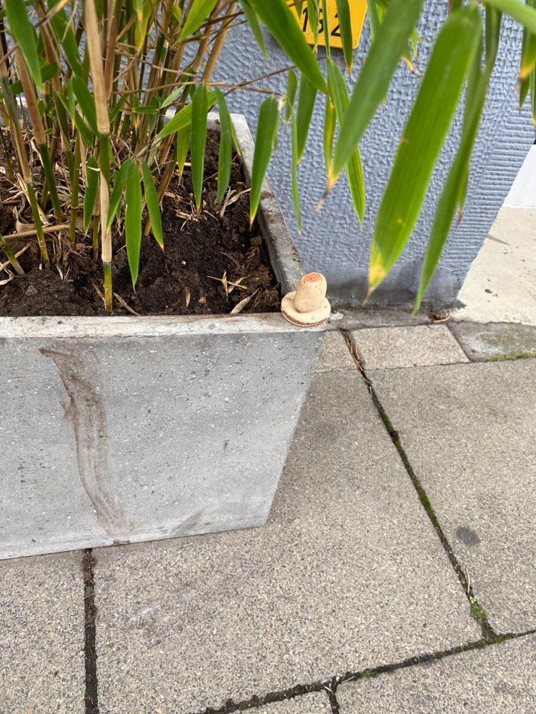 Giftköder-Giftköder-Profilbild