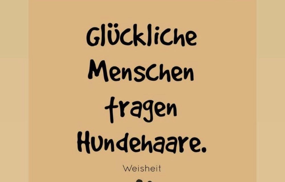 Hundetreffen-Zusammen spazieren gehen.-Profilbild