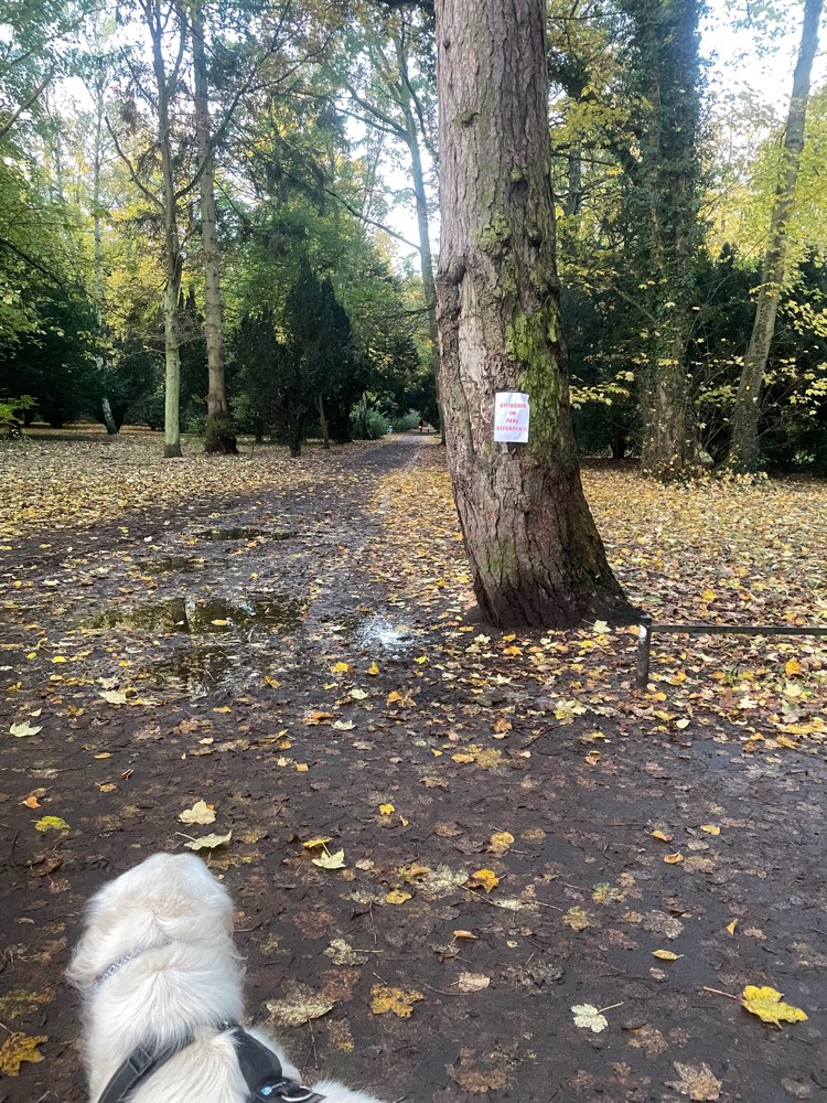 Giftköder-Giftköder-Profilbild