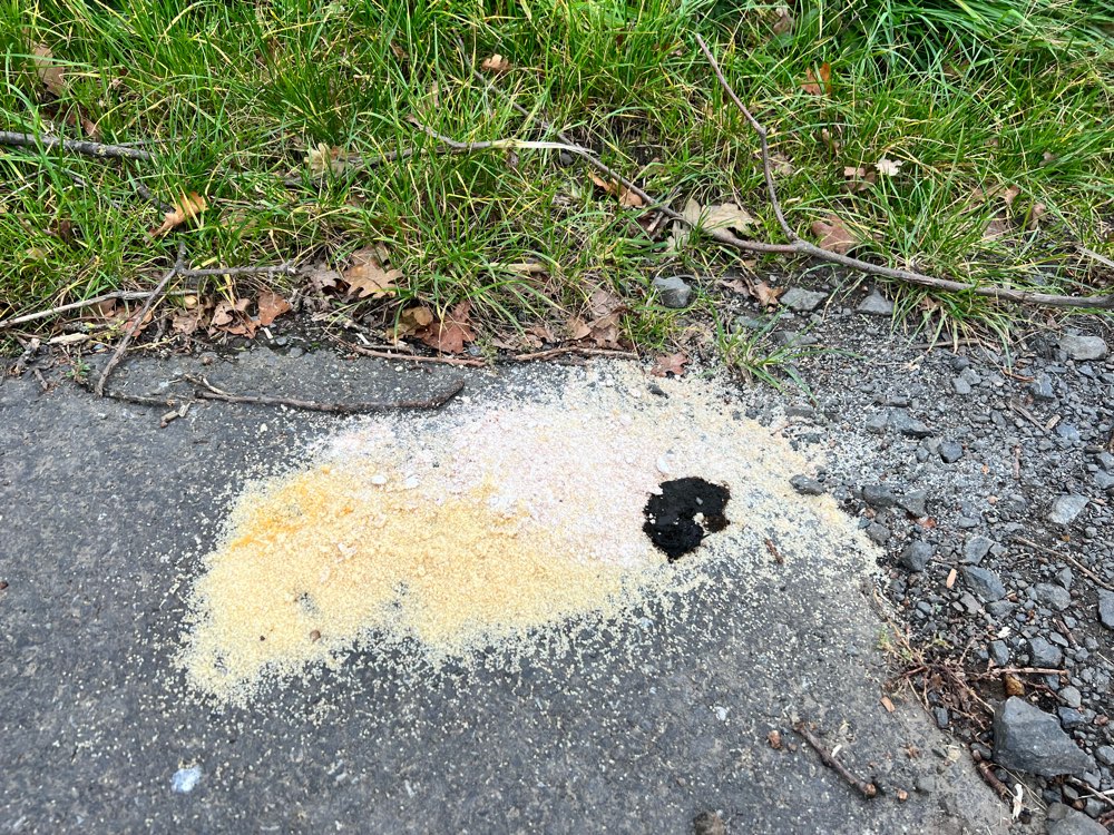 Giftköder-Achtung evtl Giftköder-Profilbild