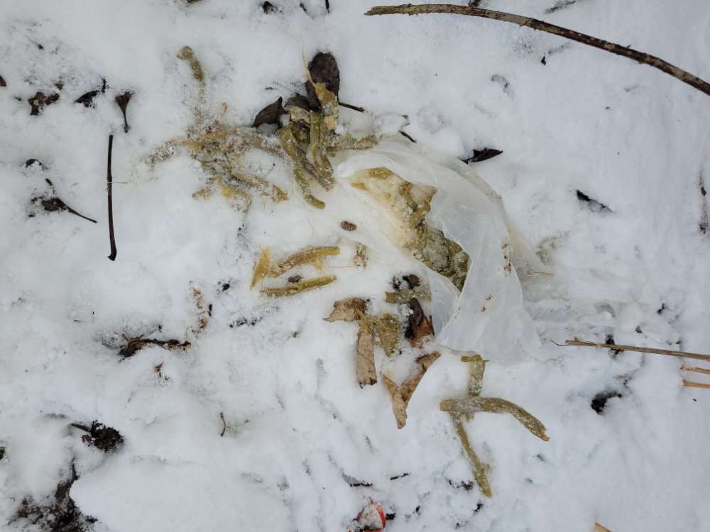 Giftköder-Vermutlich Giftköder-Profilbild