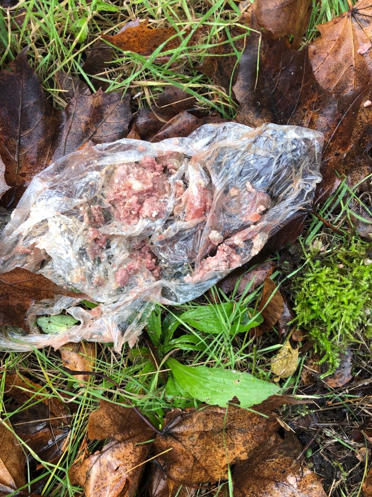 Giftköder-Fleisch in Plastikbeuteln-Profilbild
