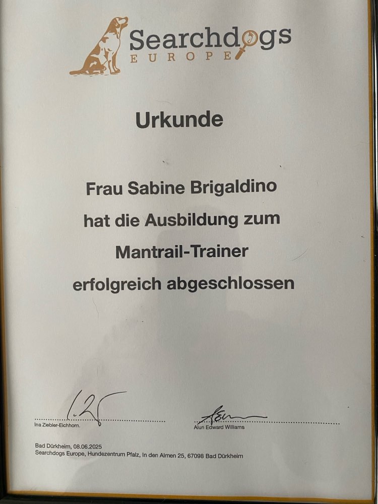 Hundetreffen-Mantrail Training-Profilbild