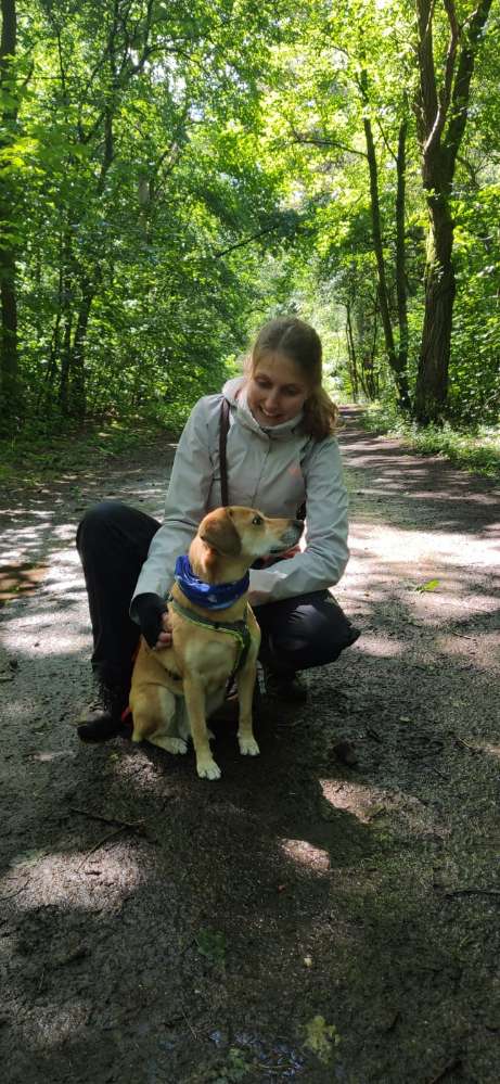 Hundetreffen-Leinenspaziergänge in/um Neu Wulmstorf-Profilbild