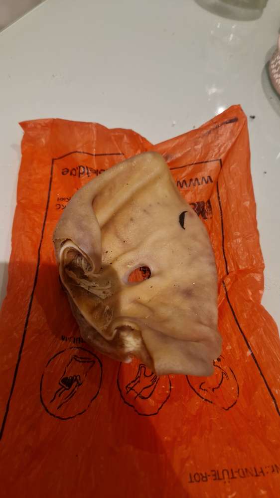 Giftköder-Schweineohren verteilt-Profilbild