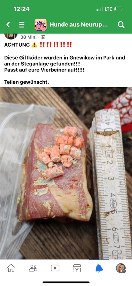 Giftköder-Giftköder-Profilbild