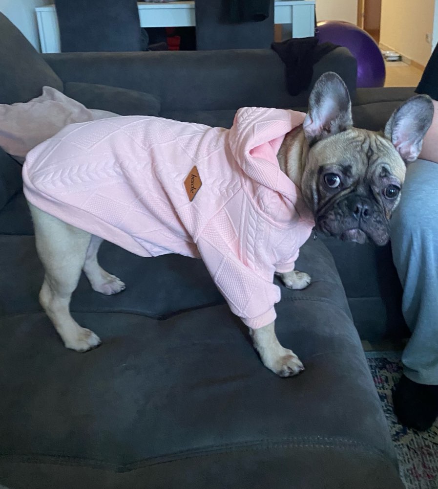 Hundetreffen-Suche Spielfreunde 🐶❤️-Profilbild