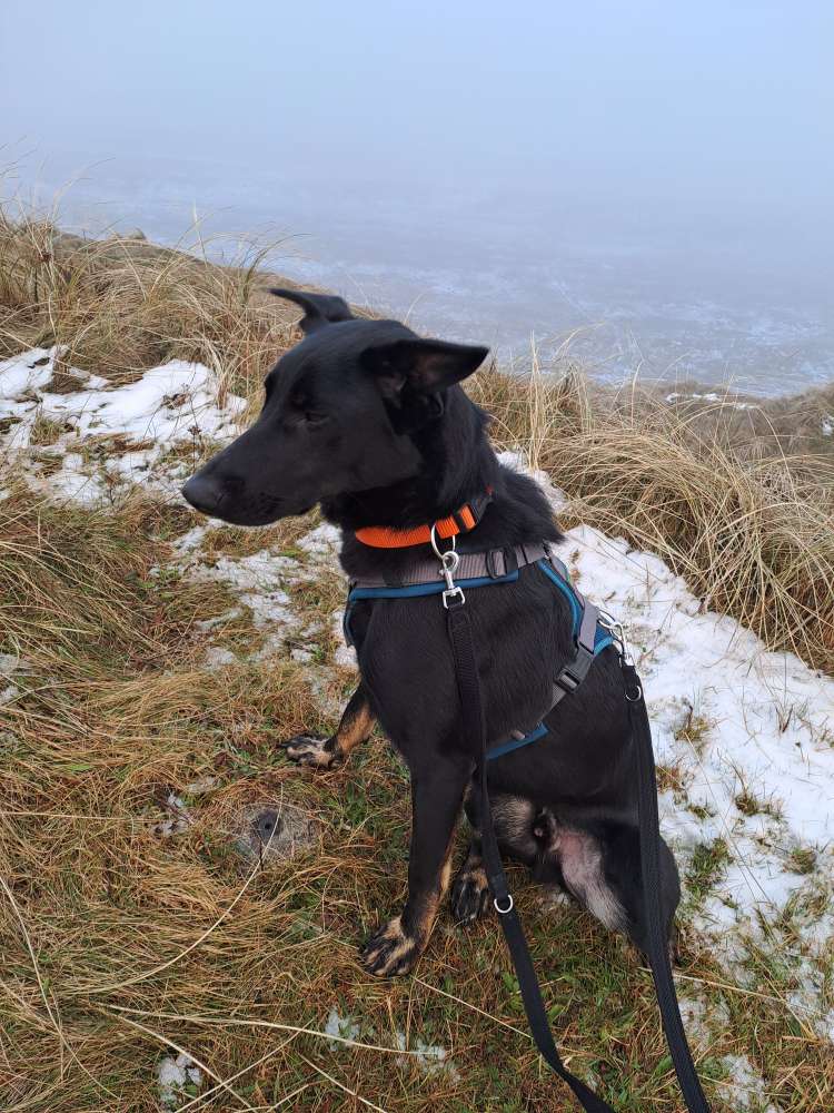 Suchmeldung-Baldur-Profilbild