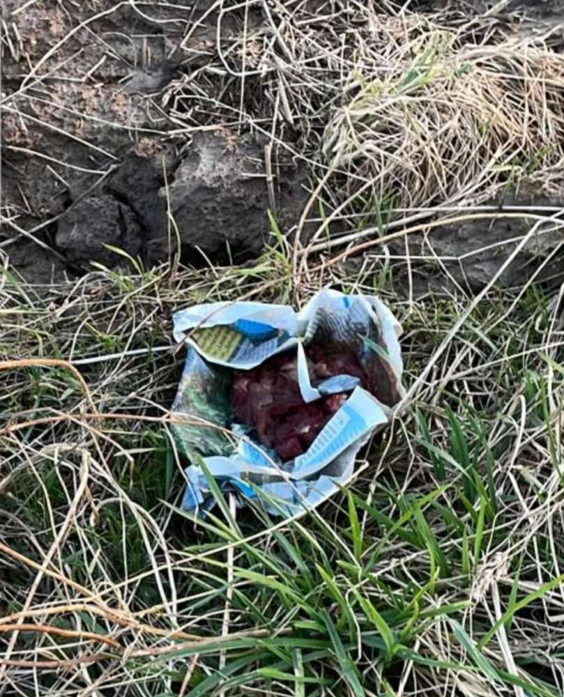 Giftköder-Fleischköder-Profilbild