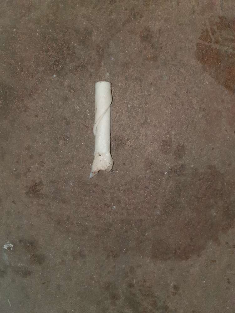 Giftköder-Giftköder-Profilbild