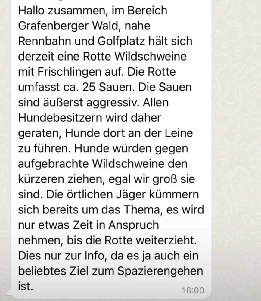 Giftköder-Wildschweine-Profilbild