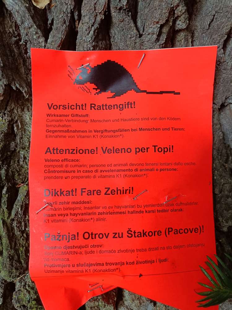 Giftköder-Rattengift-Profilbild