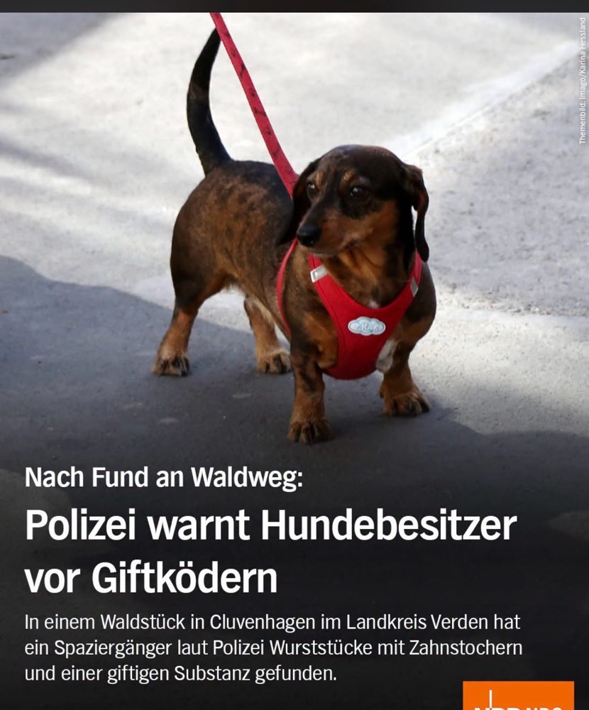 Giftköder-Giftköder-Profilbild
