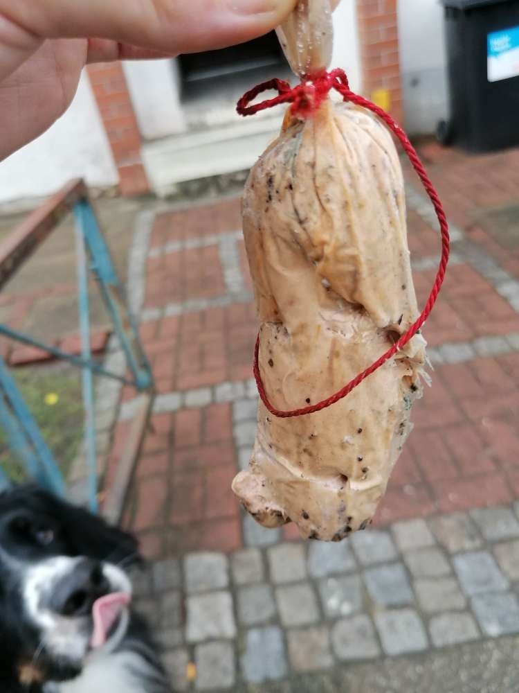 Giftköder-Vergammelte Leberwurst-Profilbild