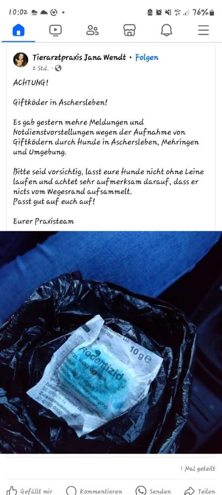 Giftköder-Giftköder komplett in der Stadt-Profilbild