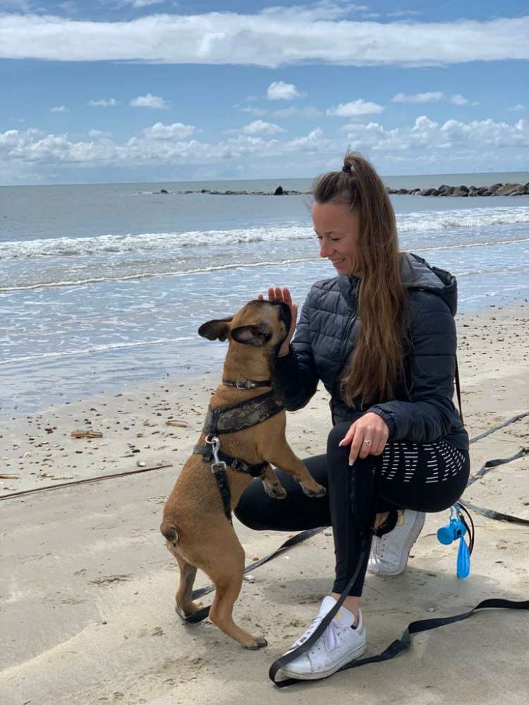 Hundetreffen-Frenchie Bulldoggen-Treff-Profilbild