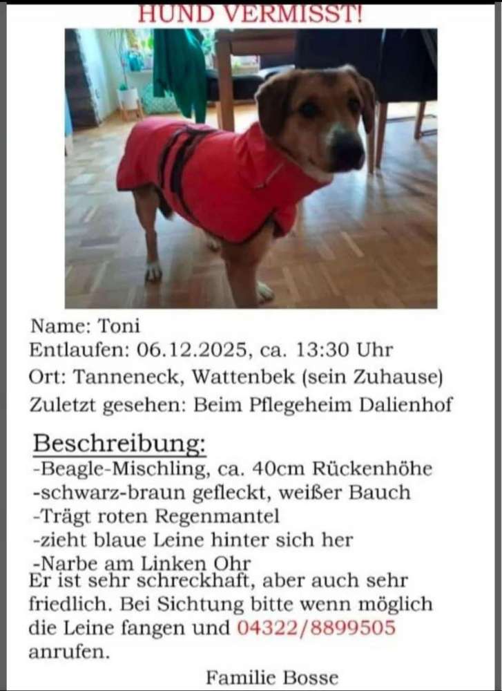 Suchmeldung-Toni-Profilbild