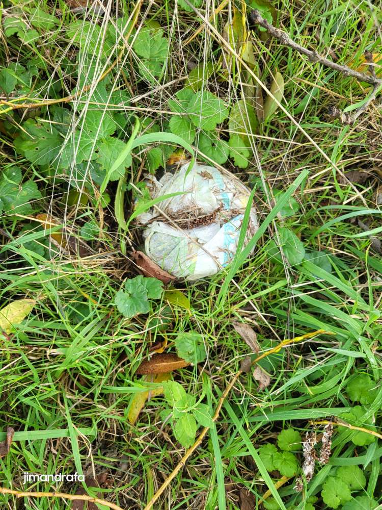 Giftköder-Komisches verpacktes ding-Profilbild