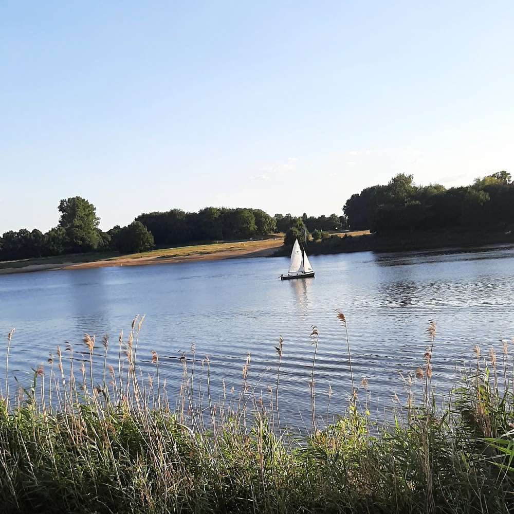 Hundetreffen-Welpentreffen in Bremen-Profilbild