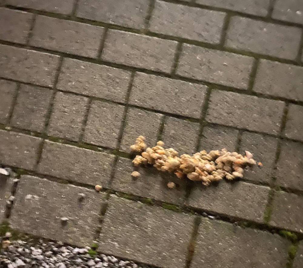 Giftköder-Essensreste-Profilbild