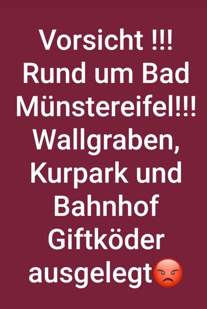 Giftköder-Giftköder-Profilbild