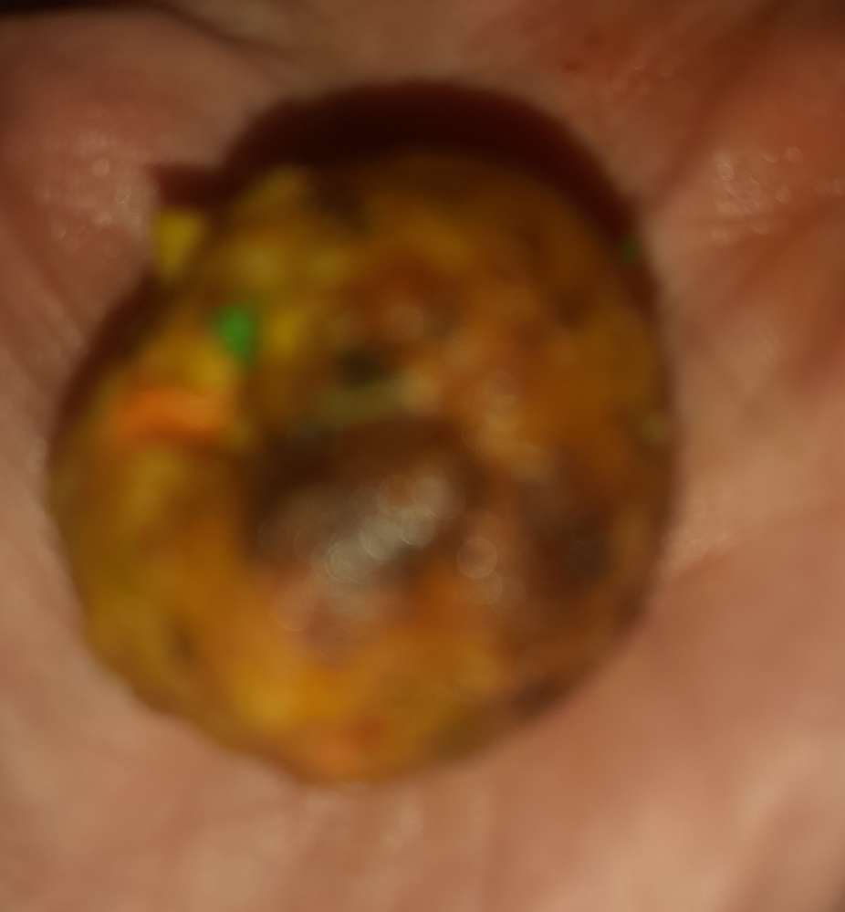 Giftköder-Frikadellen mit Schneckenkorn-Profilbild