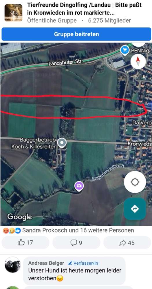Giftköder-Giftköder-Profilbild