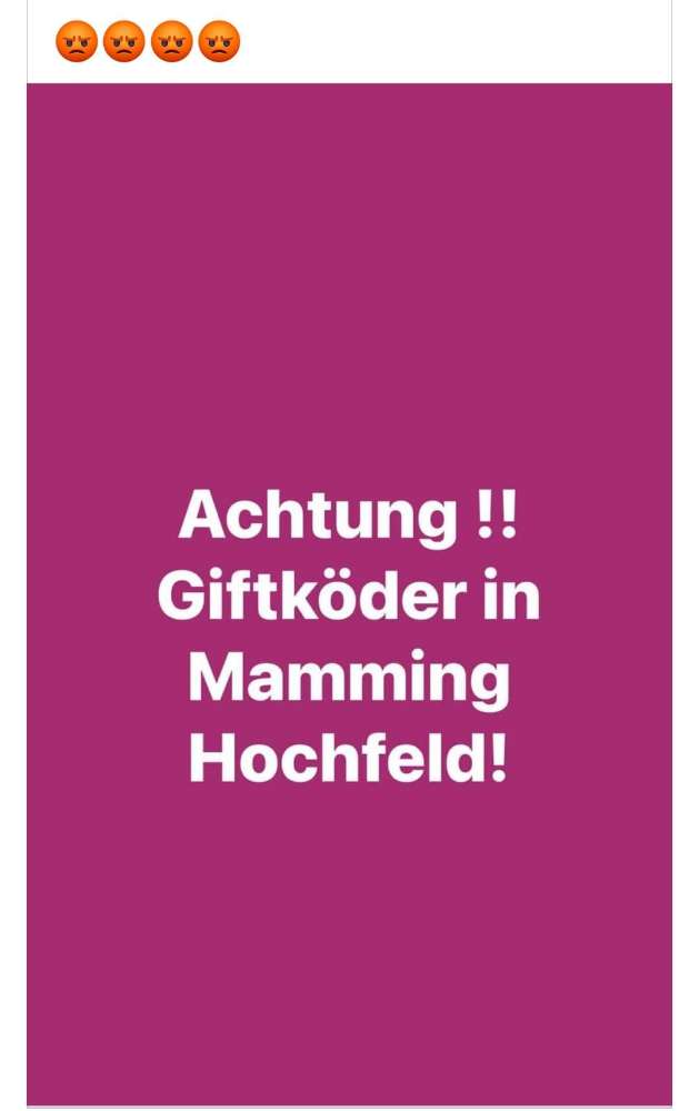 Giftköder-Giftköder-Profilbild