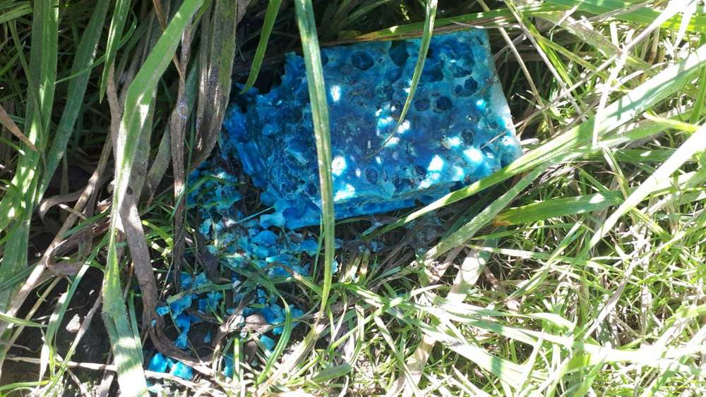 Giftköder-Giftköder-Profilbild