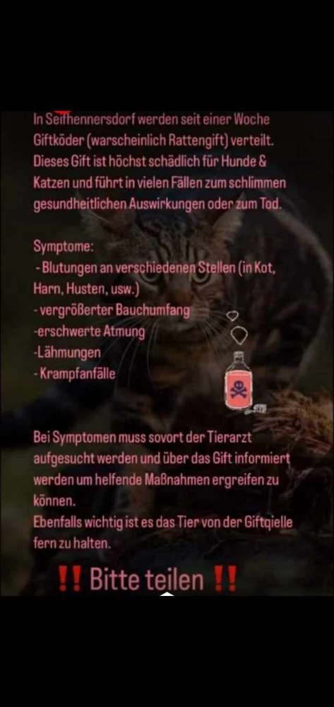 Giftköder-Giftköder-Profilbild