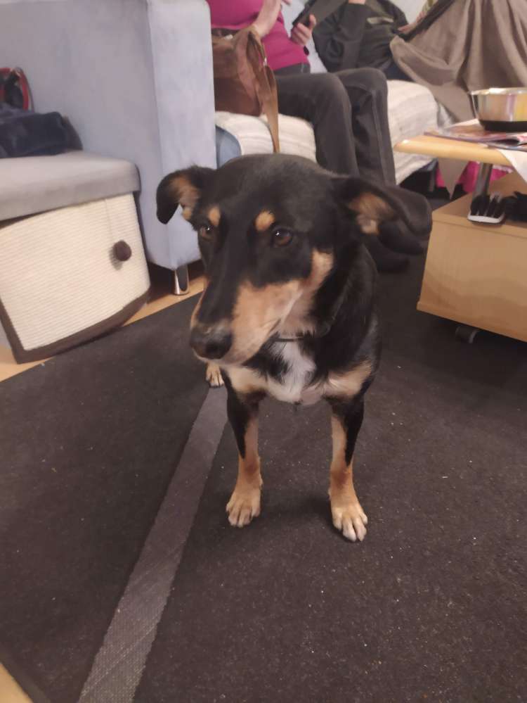 Suchmeldung-Mia-Profilbild