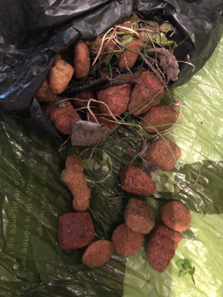 Giftköder-Leckerlies/ Trockenfutter verteilt-Profilbild