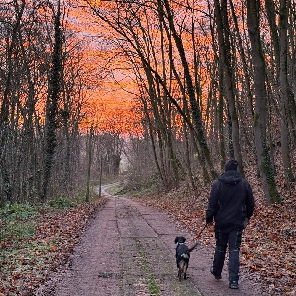Hundetreffen-Gassirunde/Übungseinheit/Sozialisierung-Profilbild