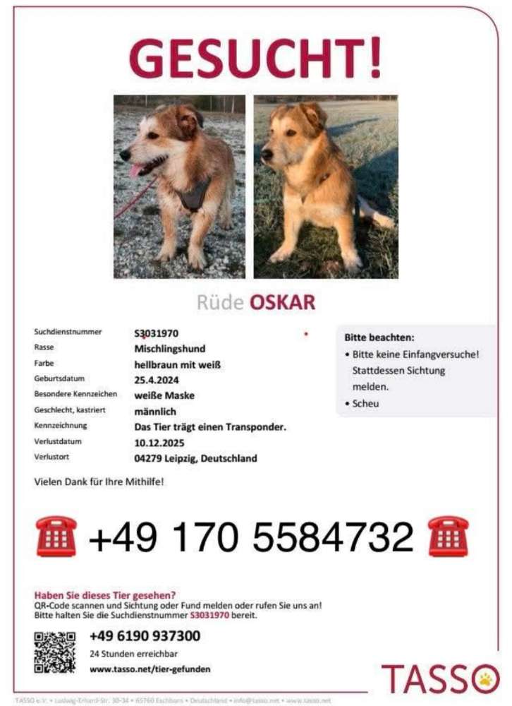 Suchmeldung-Oskar-Profilbild