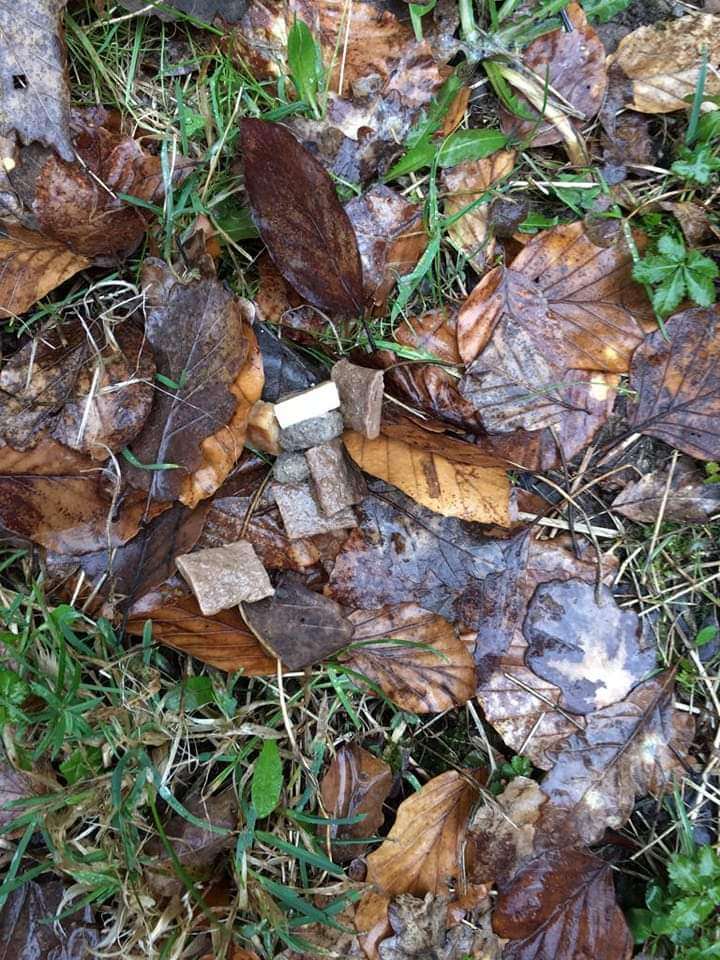 Giftköder-Möglicher Giftköder-Profilbild