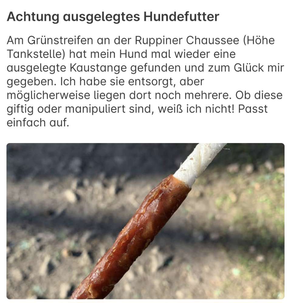 Giftköder-Ausgelegte Kaustangen-Profilbild