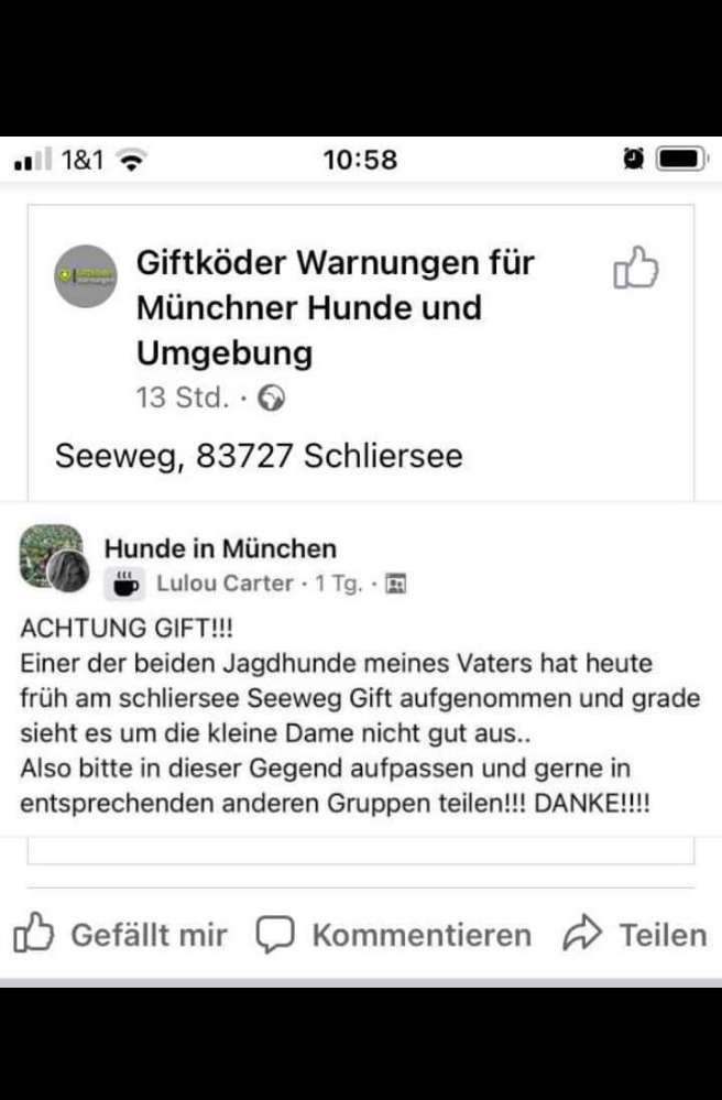 Giftköder-Gift!-Profilbild