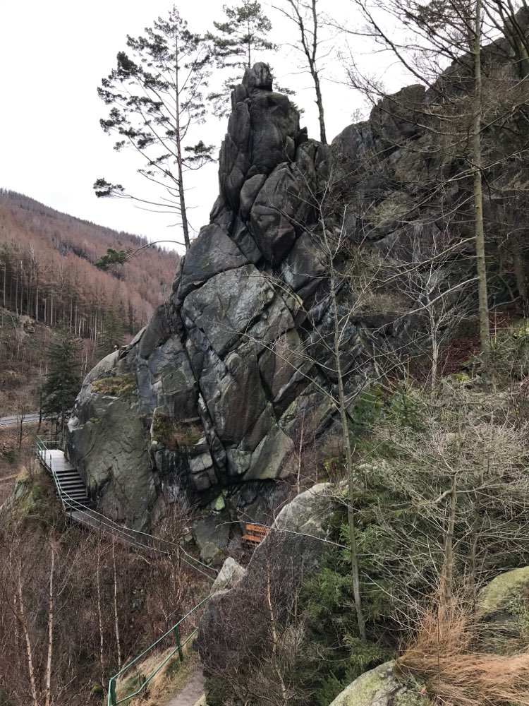 Hundetreffen-26.02.2022 14.30 Uhr Okertal - Klippenwanderung-Profilbild