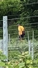 Giftköder-Agressiver Mann-Profilbild