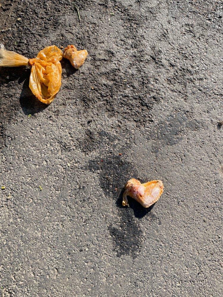 Giftköder-Fleisch!-Profilbild