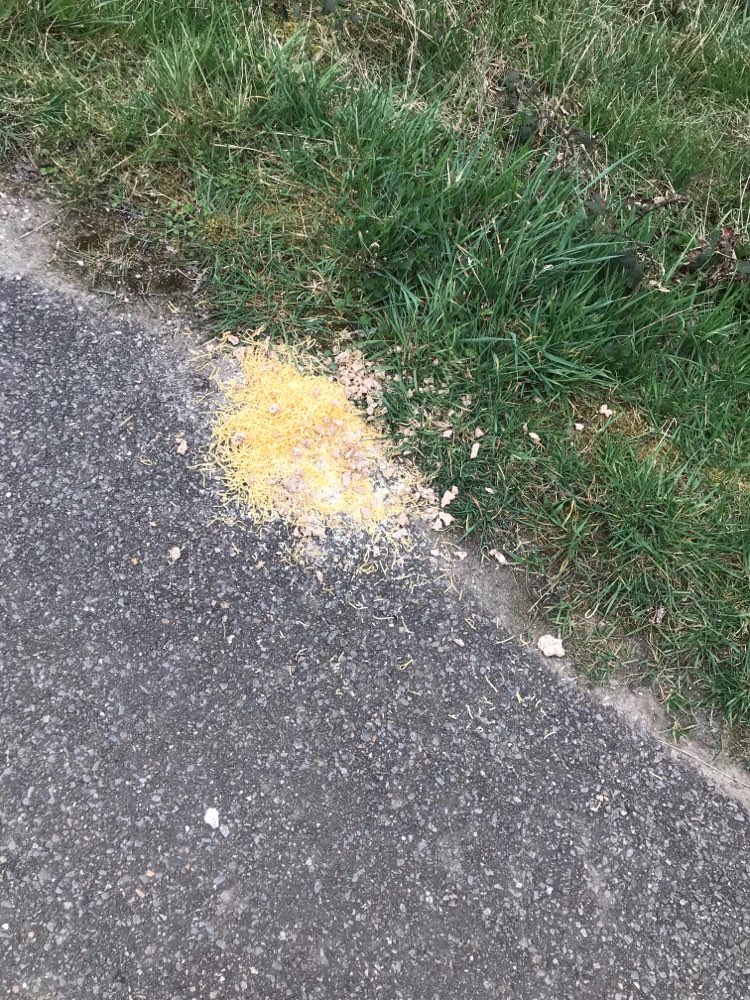 Giftköder-Reibekäse und Hackfleisch-Profilbild