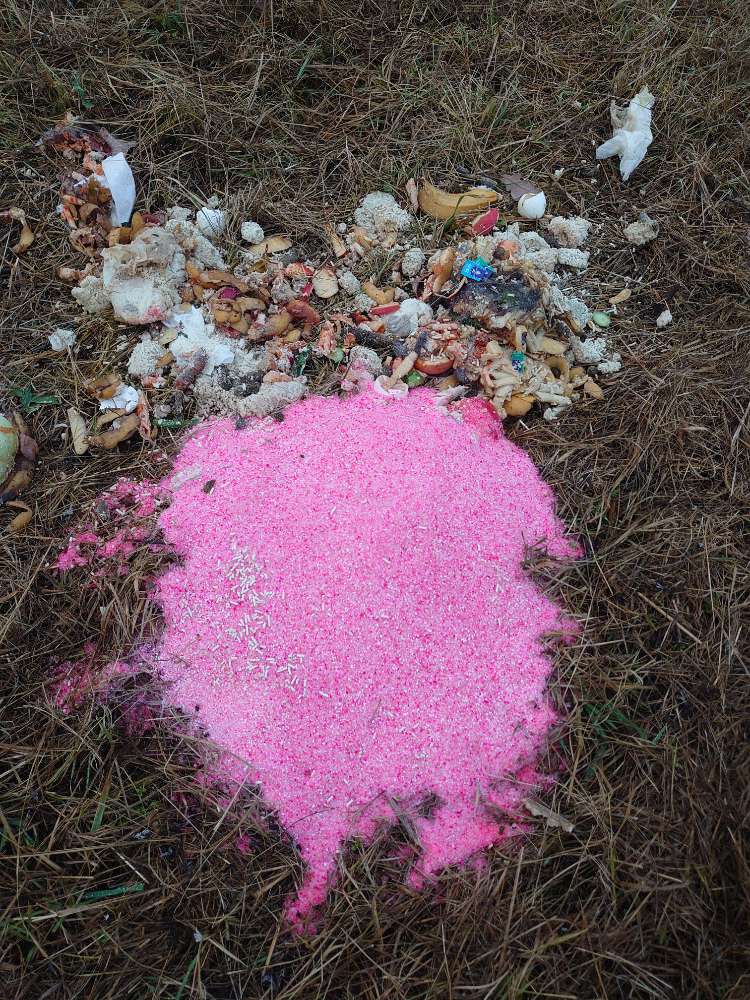 Giftköder-Evtl. Gift-Profilbild