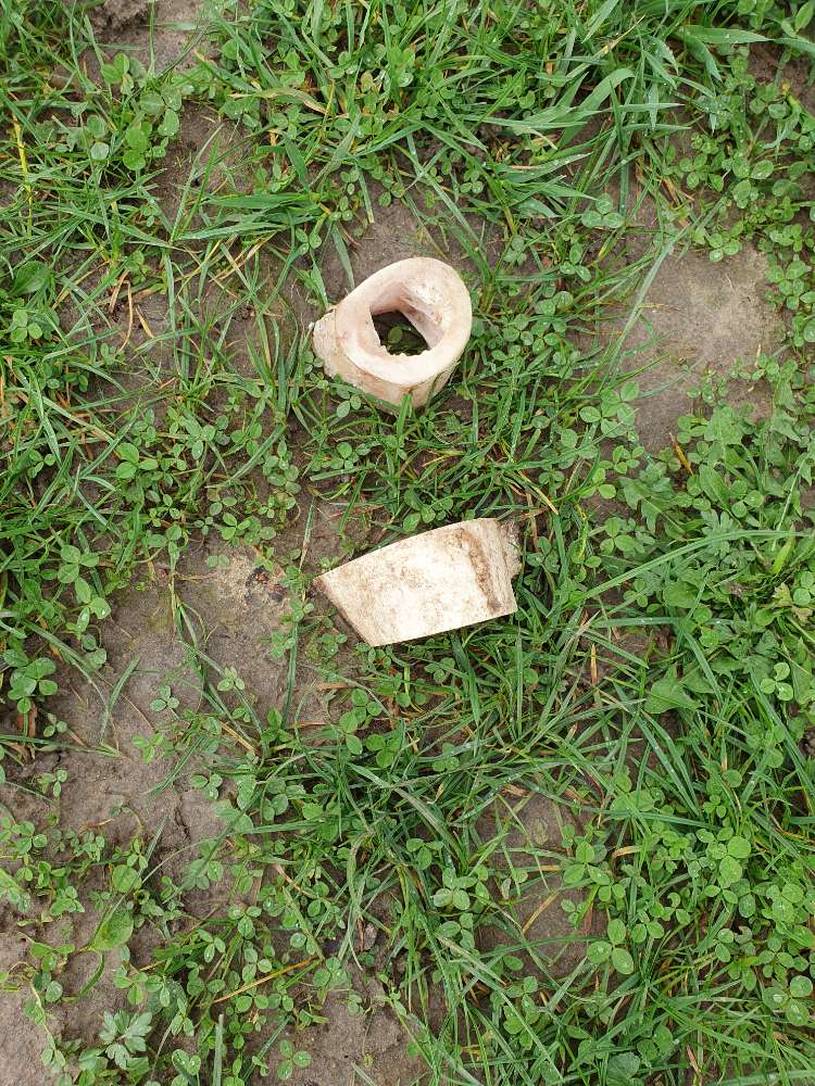 Giftköder-Evtl.Giftköder-Profilbild