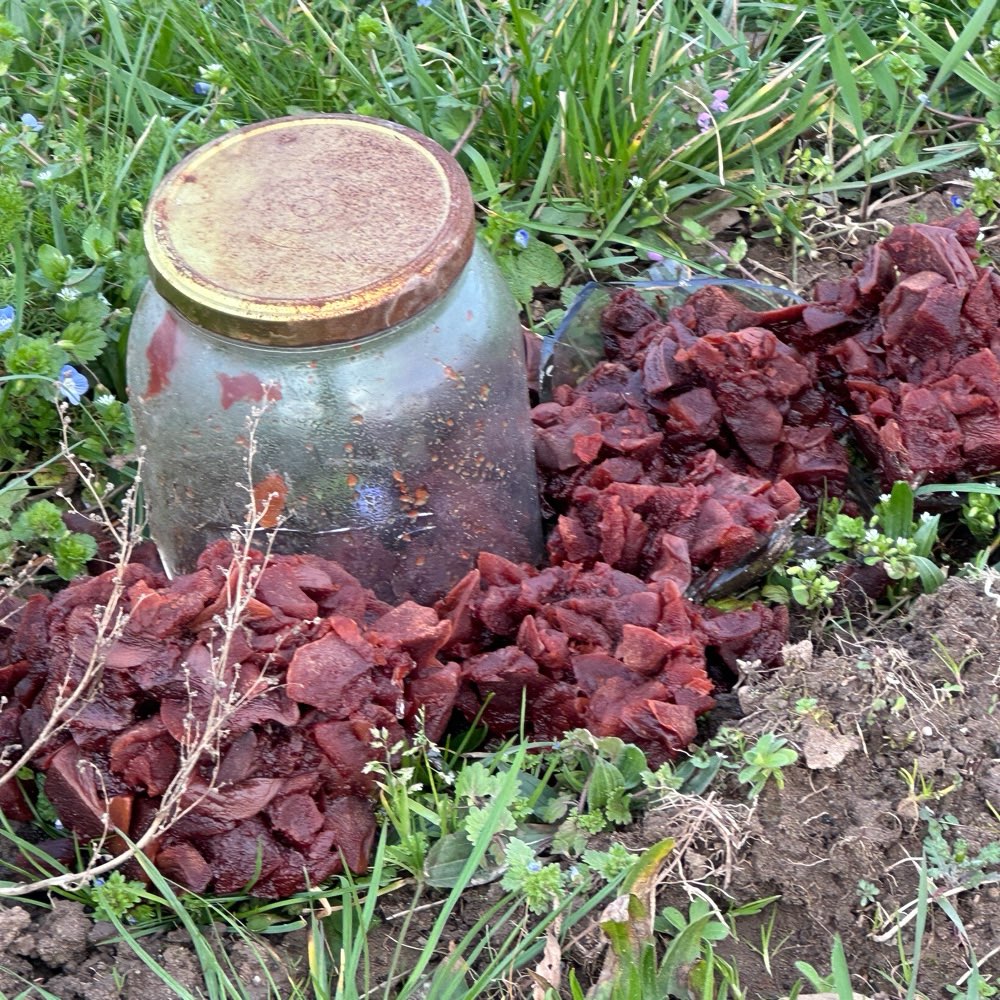 Giftköder-Giftköder-Profilbild