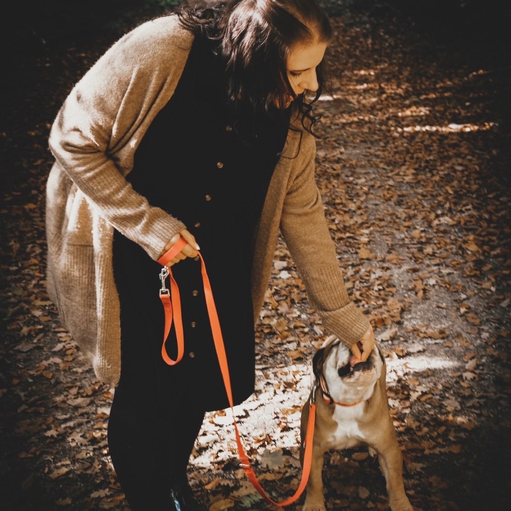 Hundetreffen-Gassi Begleitung gesucht-Profilbild