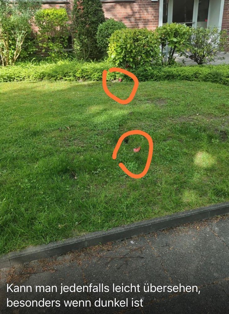 Giftköder-Rattengift-Profilbild