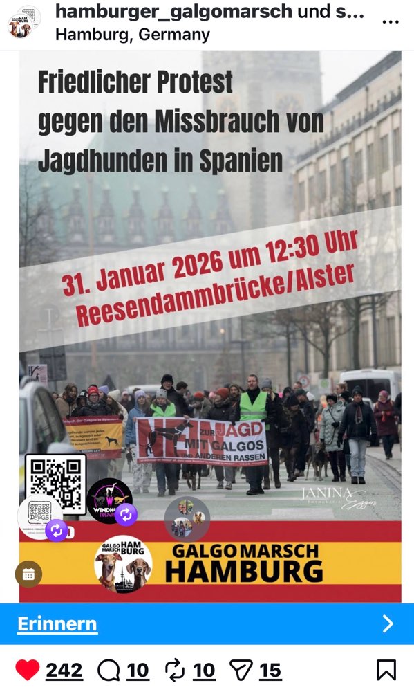 Hundetreffen-3. Galgo(Greyhound)-Marsch (Alster)-Profilbild