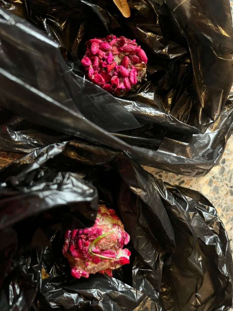 Giftköder-Schon wieder.....2 Giftköderfunde-Profilbild