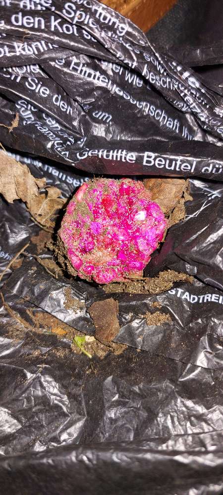 Giftköder-Giftköderfund-Profilbild